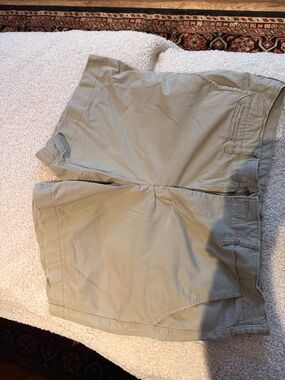 American Eagle Outfitters Men's Tan Flat-Front Shorts 34